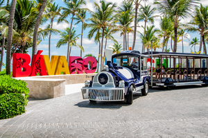 Picture of a train in front of the Bavaro Beach sign and palm trees in the background